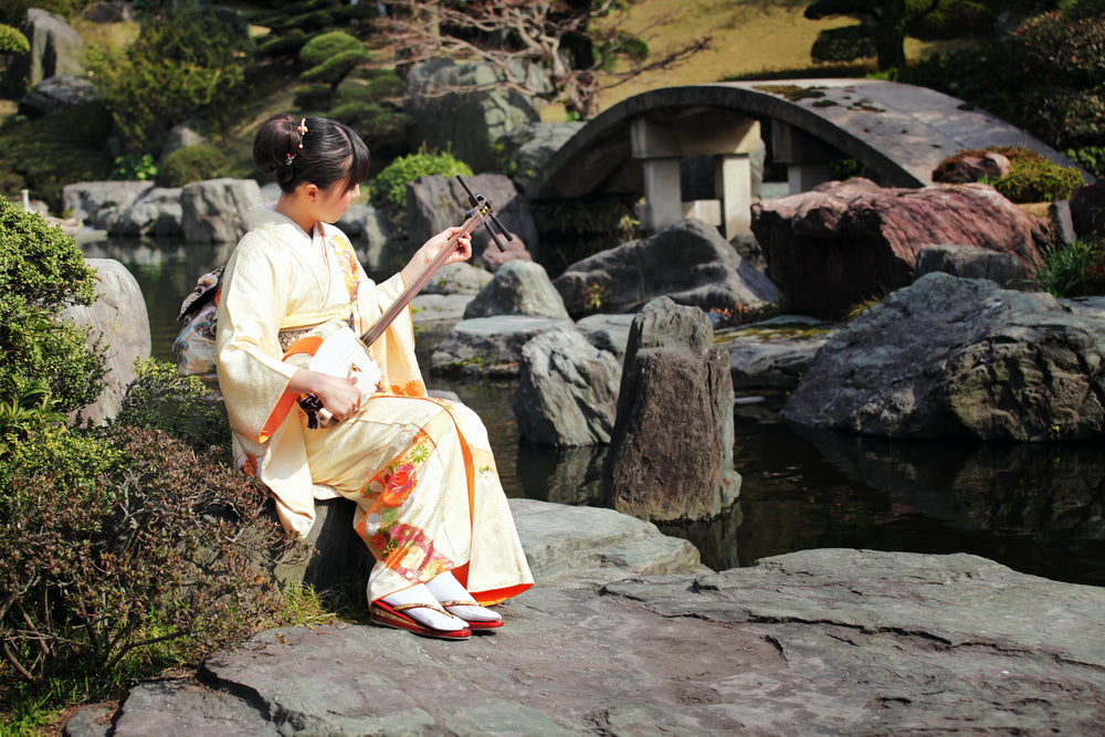 The Shamisen: Echoes of Japan's Musical Heritage – Bokksu Snack