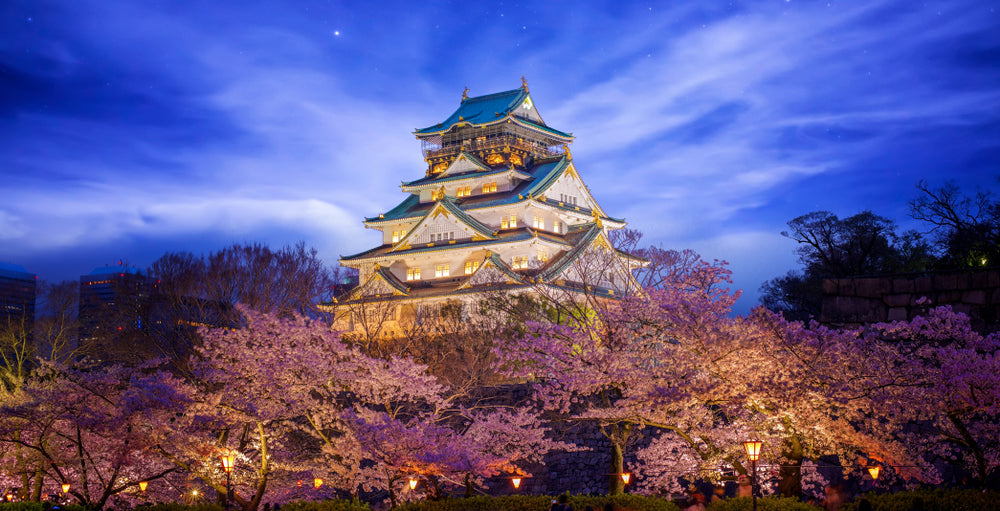 Tokyo After Dark: Discovering the Best Spots for Nighttime Sakura View –  Bokksu