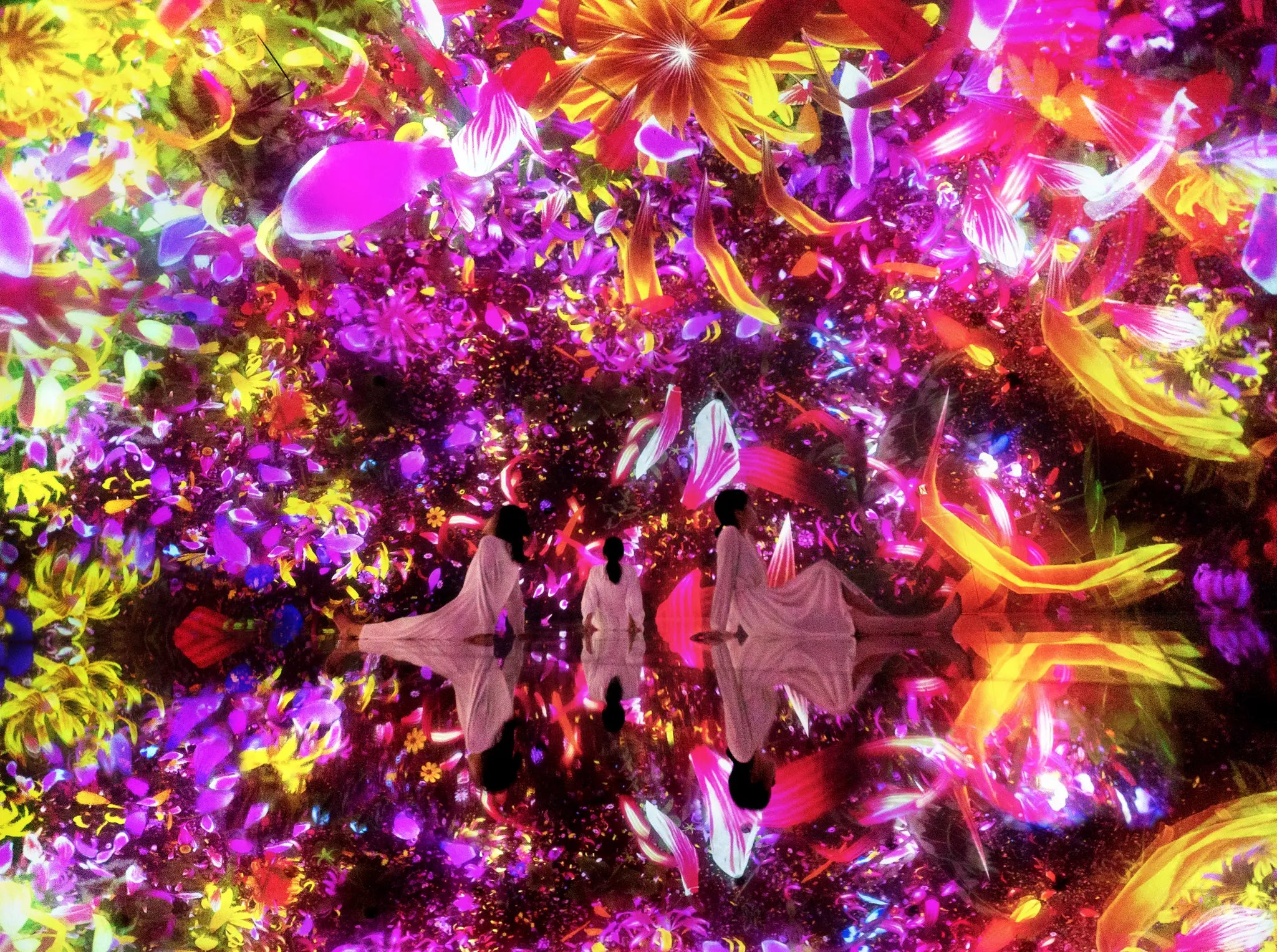 Immersive Artistry: Exploring TeamLab Planets in Tokyo – Bokksu