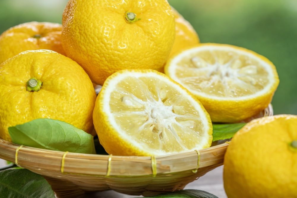 シュガーレス BD-BOX〈初回生産限定豪華版・5枚組〉 Yuzu: Japan's Beloved Citrus Treasure – Bokksu Snack Box