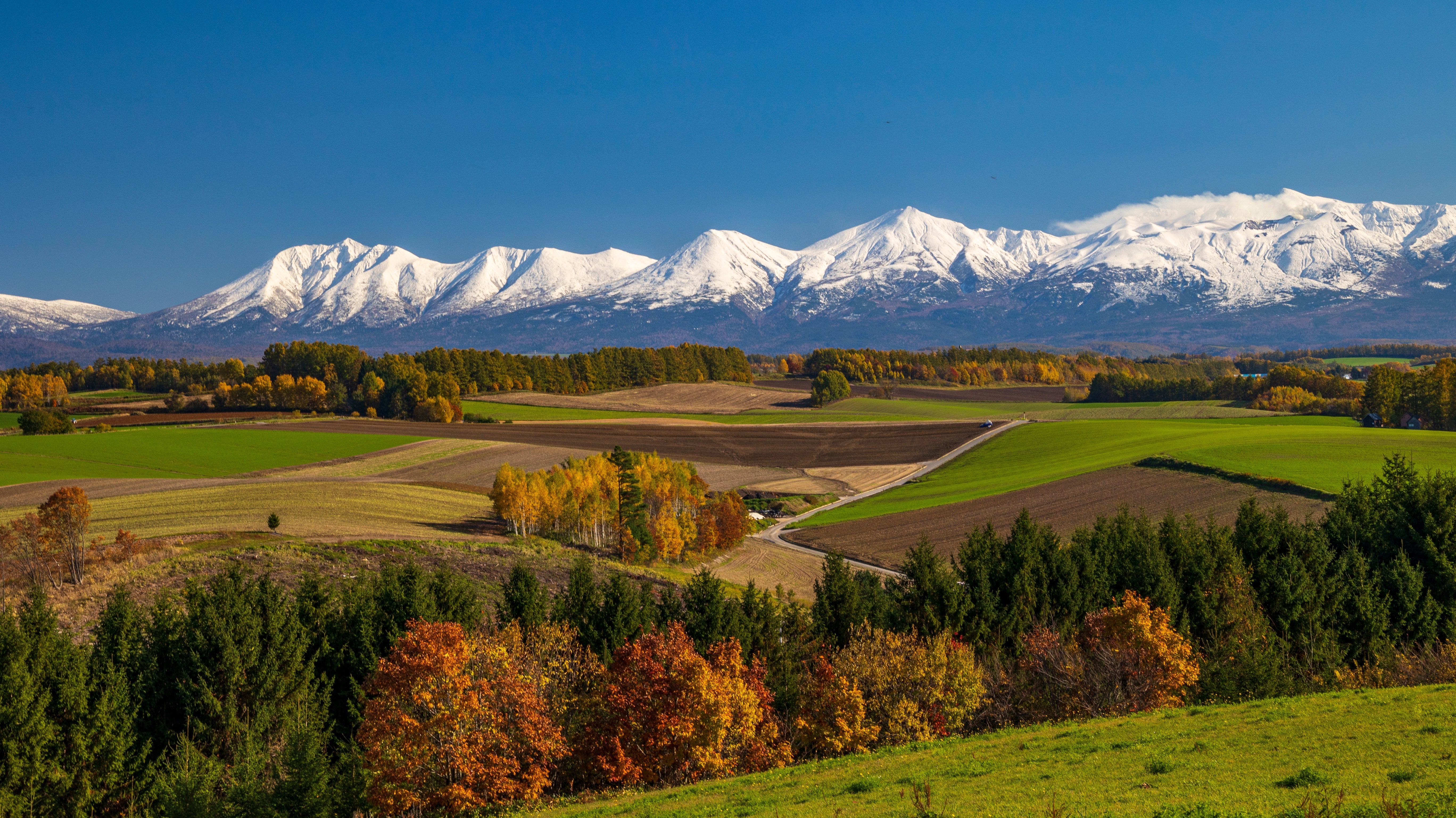 Hokkaido Red Leaf Cruises & Snack Pairings for Scenic October Days