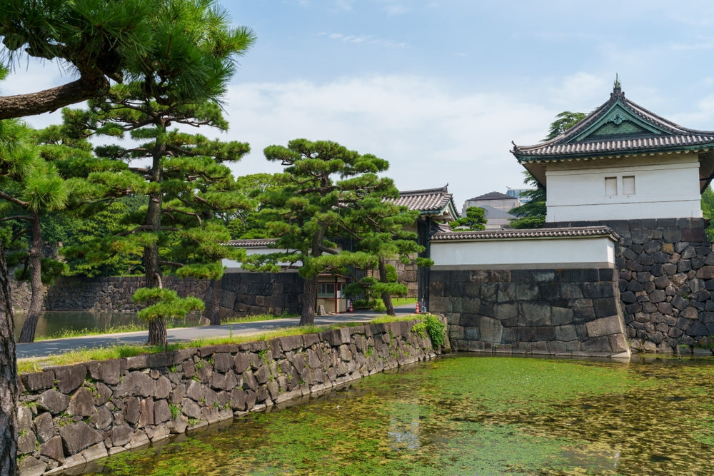 Japan’s Imperial Household: Secrets, Traditions, and Modern Challenges