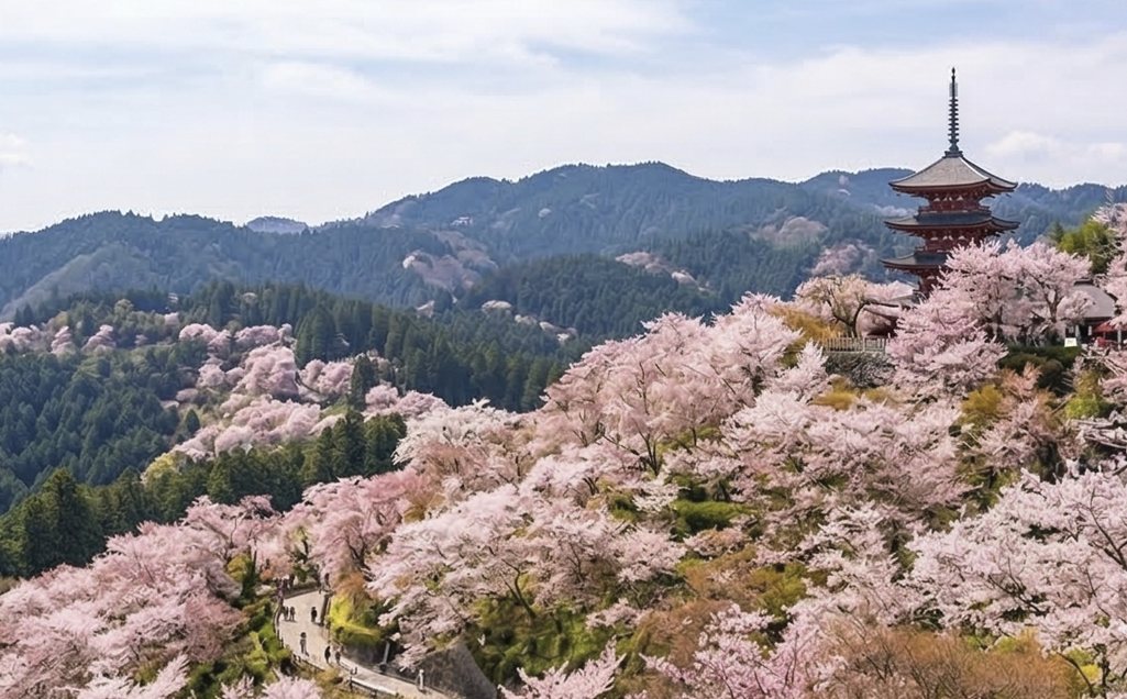 Yoshino Mountain Sakura 2026: Japan’s Most Iconic Multi-Layer Blossom View