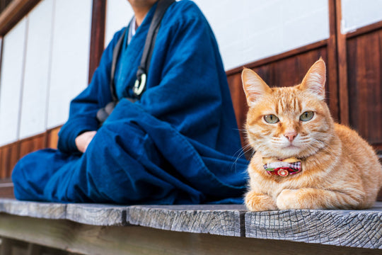 Why Japan’s Cat Culture Makes the Perfect Holiday Gift Theme