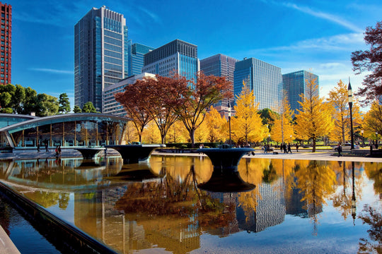 The Taste of Autumn: Harvest Snacks from Across Japan