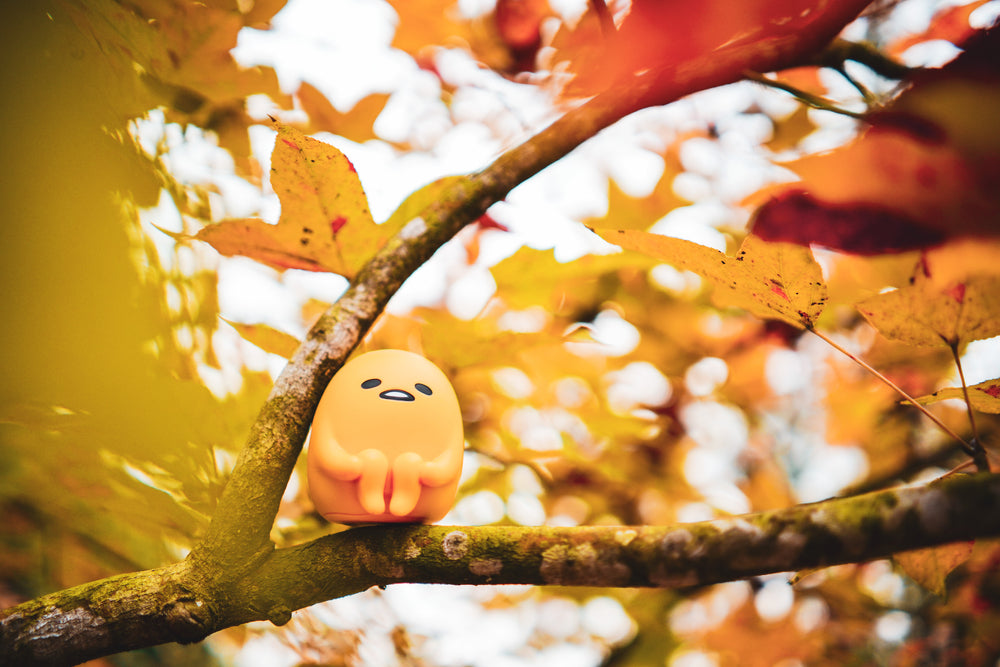 Autumn foliage with alone yellow character