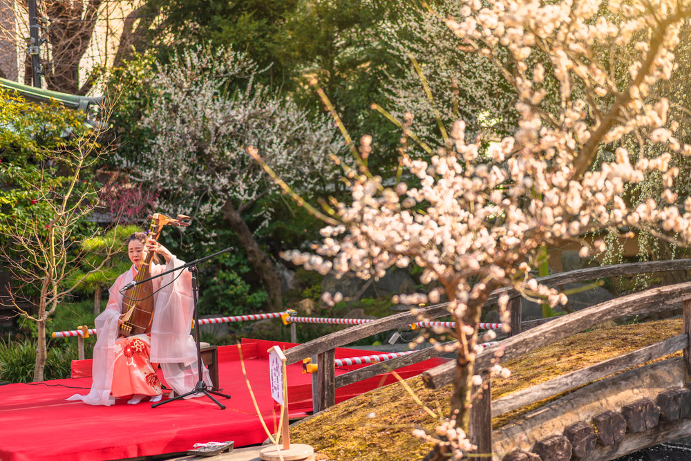 Traditional Japanese musical instruments, woman playing Biwa