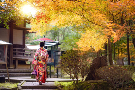 Culinary Travel in Japan: 7 Food-Focused Regions You Should Visit