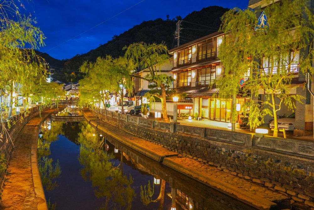 Serene Waters: The Healing Springs of Kinosaki Onsen