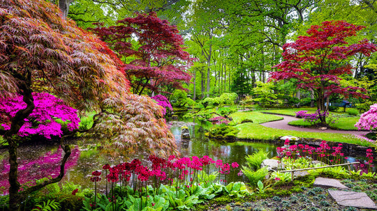 Famous Japanese Gardens In The United States