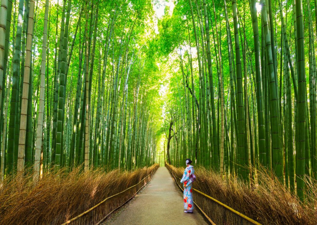 When Is Summer in Japan? Everything You Need to Know