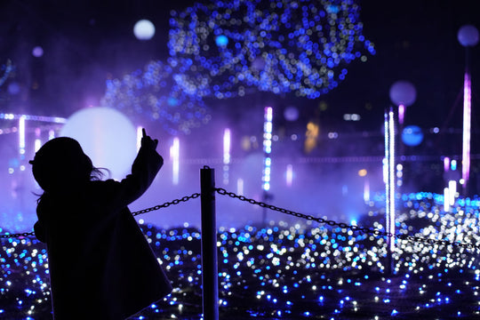 A Winter's Tale in Tokyo: Seasonal Attractions and Events in 2024