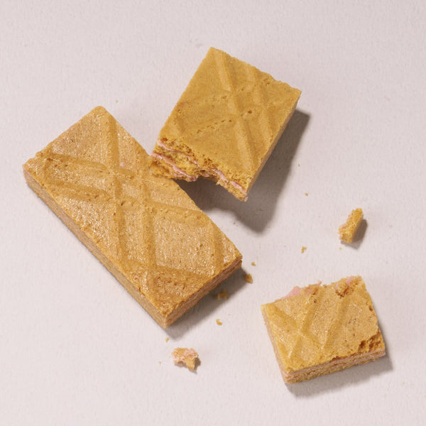 Nagano Sanka Blueberry Chocolate Cookie
