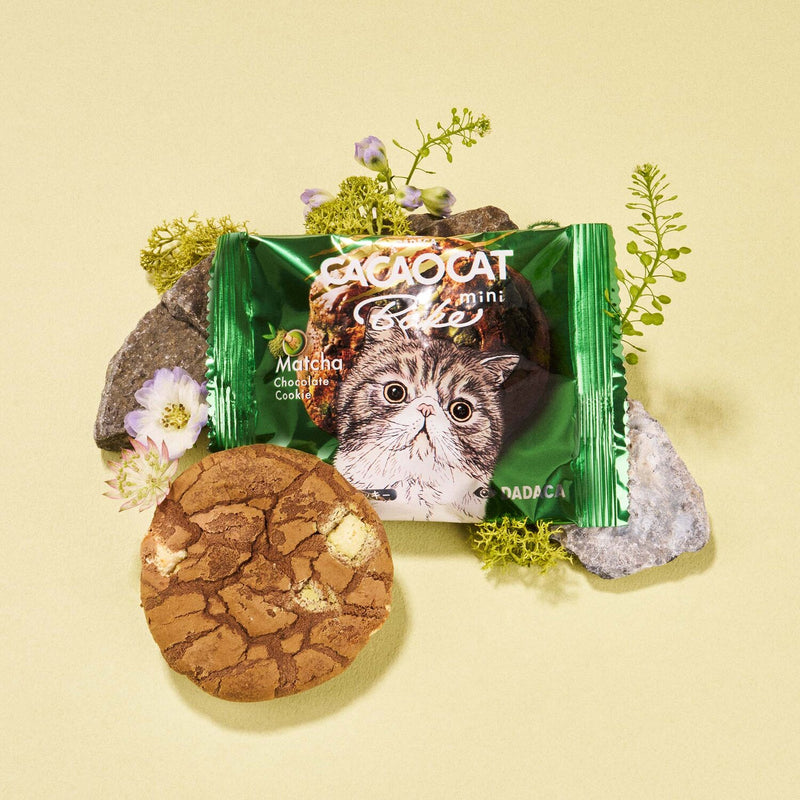 CACAOCAT Bake mini Cookie: Matcha Chocolate packaging