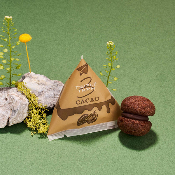 SACUCCI HOROCCI: Chocolate