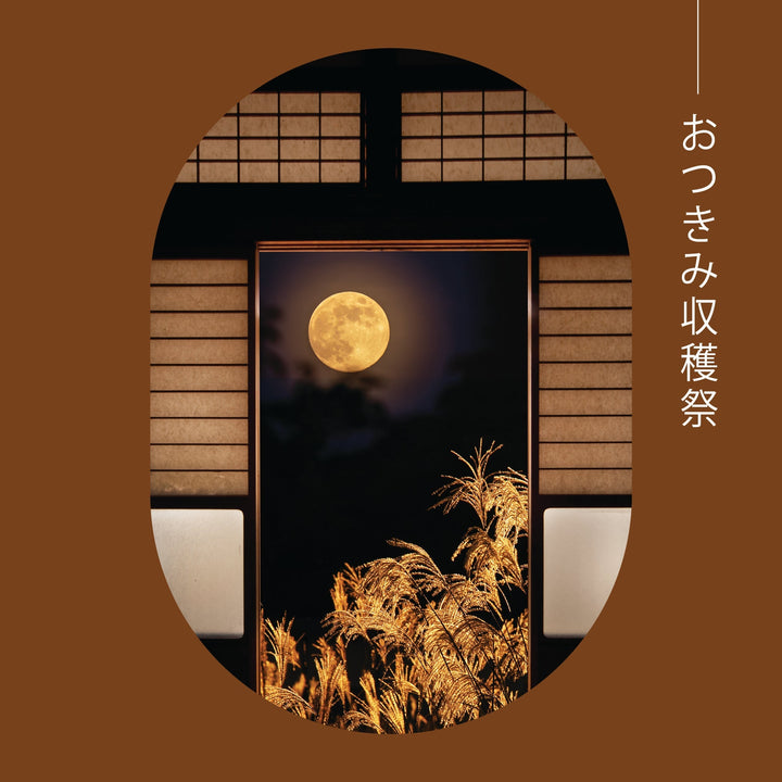 Full Moon Rising