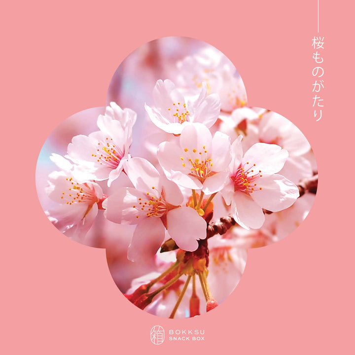 Sakura Story