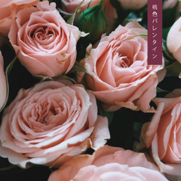 Pink Valentine