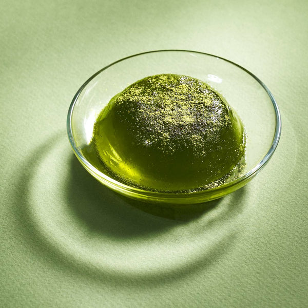 Matcha Warabi Mochi