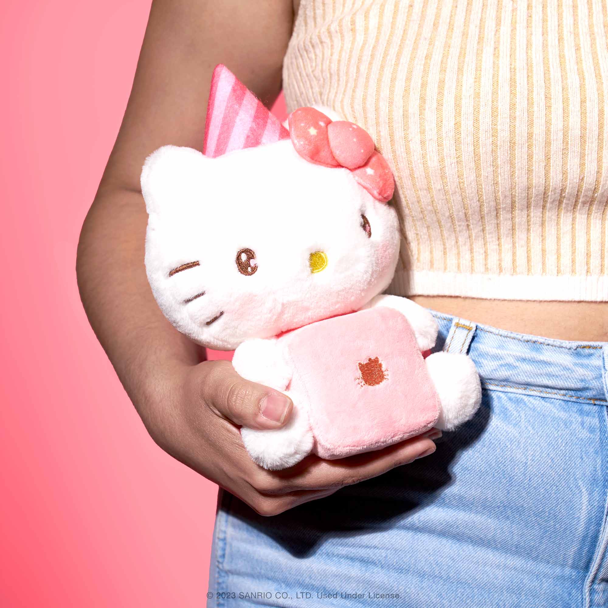 Hello Kitty Collection – Bokksu