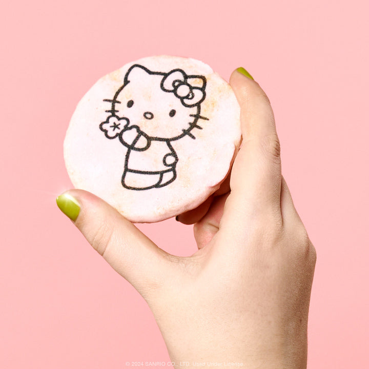 April'24 Bokksu Hello Kitty® and Friends Snack Box: Cherry Blossom Picnic
