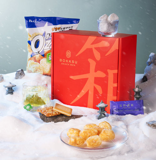 REFLECTIONS IN SNOWLIGHT