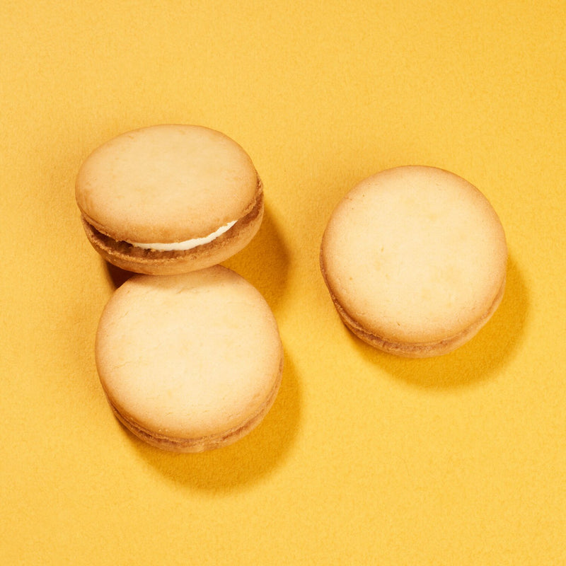 Salty Butter + Camembert Cheese Cookie
