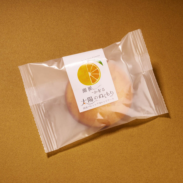 Japanese Valencia Orange Cake