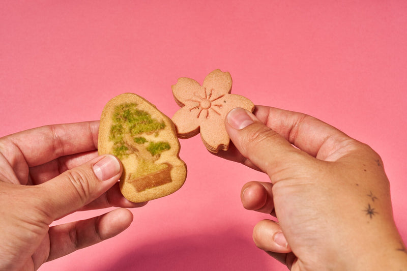 Japan Tree Cookie packaging